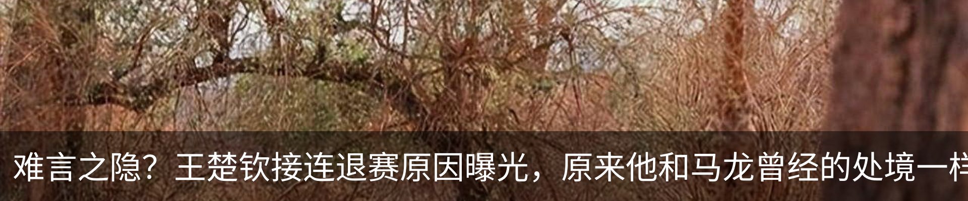 内页banner